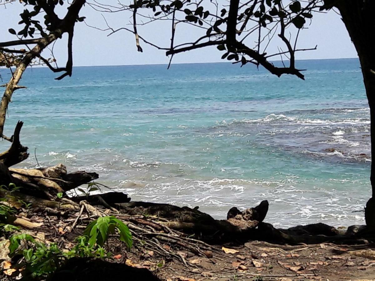 Puerto Viejo de Talamanca Hotel Casa Conley Del Mar מראה חיצוני תמונה